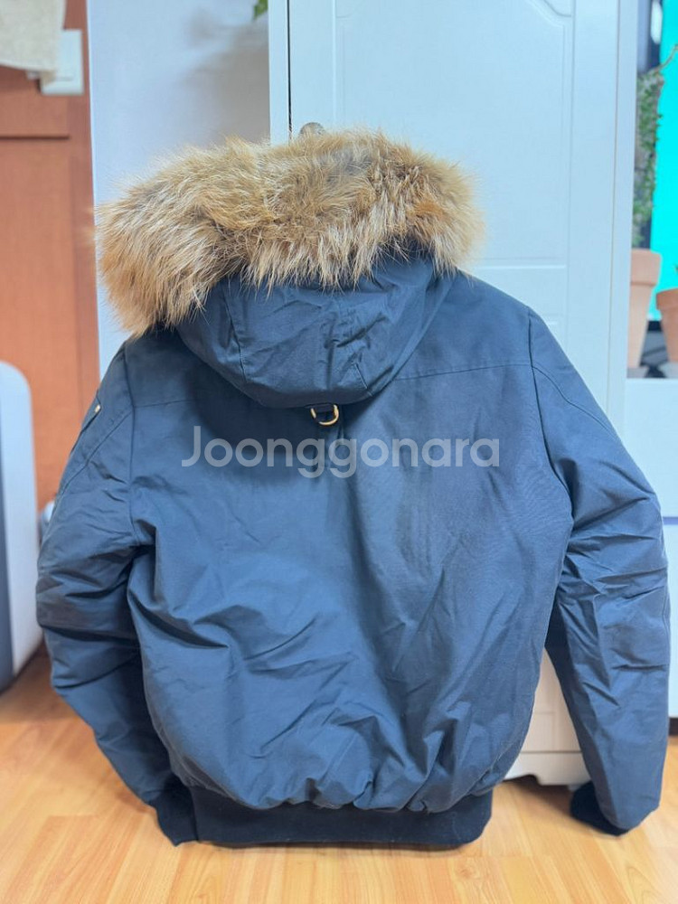 무스너클 발리스틱 골드 금장 네이비 국내미판 새상품--1