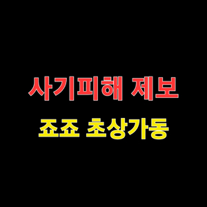 !!사기피해 제보!! 죠죠 초상가동 죠죠 피규어