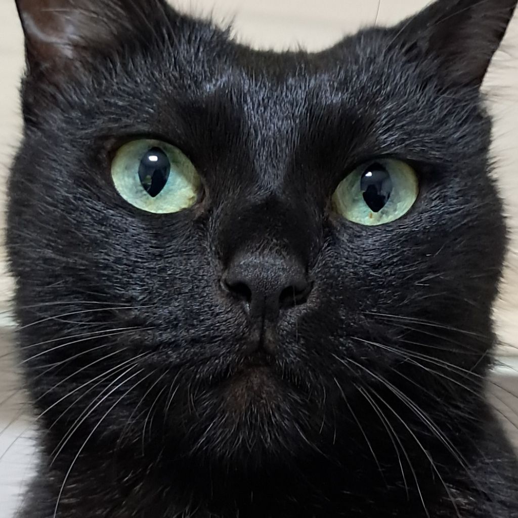 profile-image