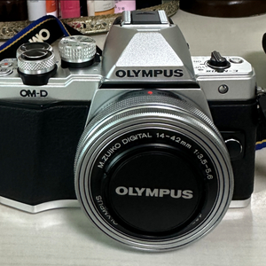 올림푸스 OM-D E-M10 2