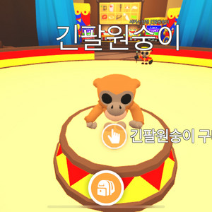 16마리 입양하세요 긴팔 원숭이 펫