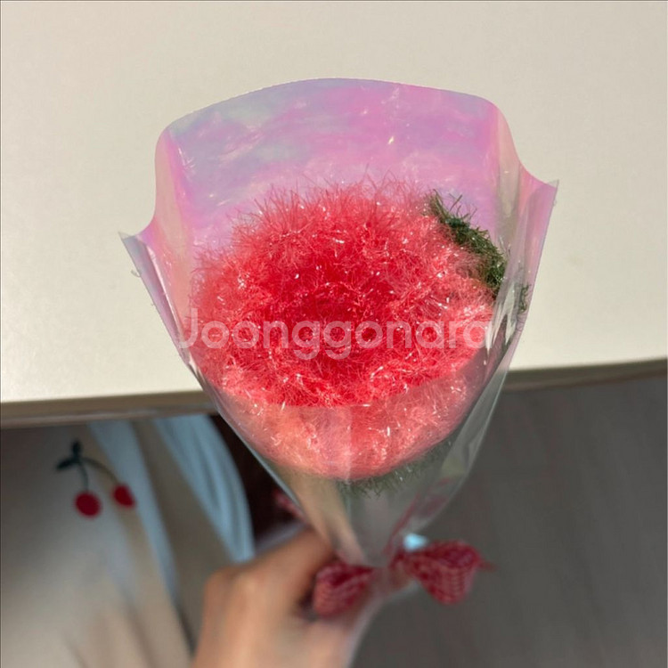 코바늘 주문제작 받아용 :) 수세미,키링,인형,티걸이--1