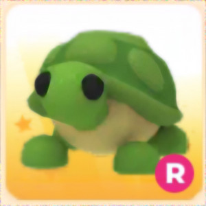 입양하세요 R 거북