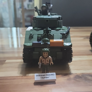 코비블럭 점보셔먼 팝니다.