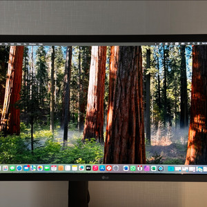 LG 울트라파인 24MD4KL