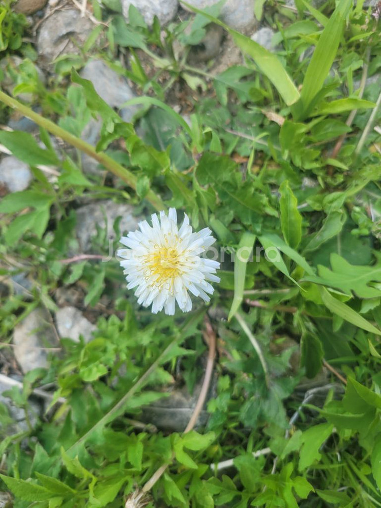 뤼튼 앱 가입 삽니다 1분소요--0