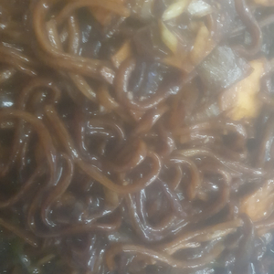 틱톡 신규 가입 저통해서 하실분
