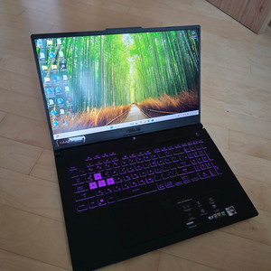 ASUS TUF GAMING A17 2023 팝니다.