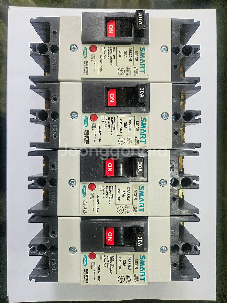 배선차단기 mccb DBS32NS 2P 30A--1
