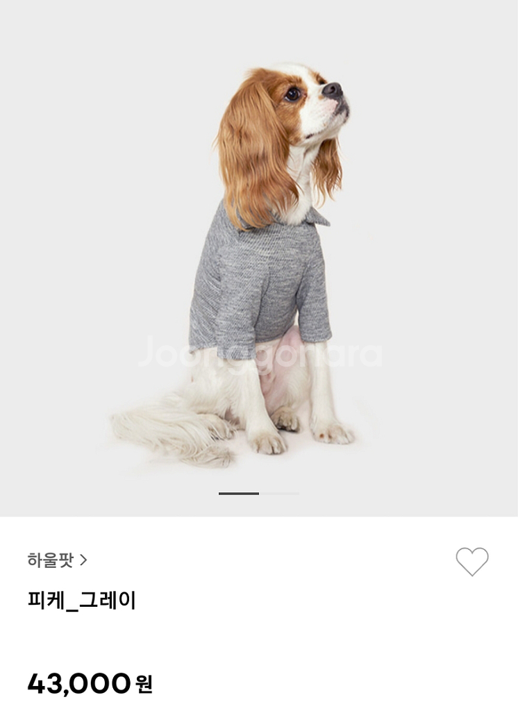 강아지옷)Howlpot 하울팟 그레이 카라티 반려견셔츠--1