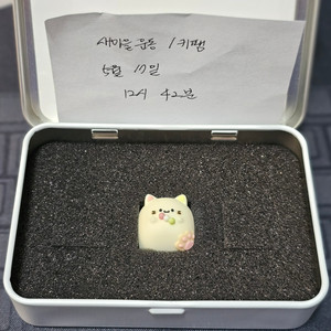 레이키 아티산 키캡