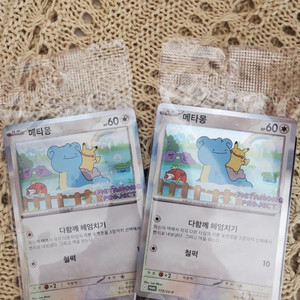 포켓몬 메타몽카드