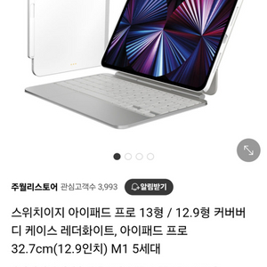 아이패드 프로 M4 스위치이지 커버버디 레더화이트 13