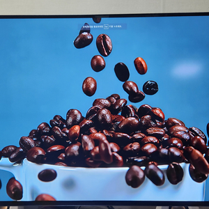 LG 울트라기어 32GS95UV