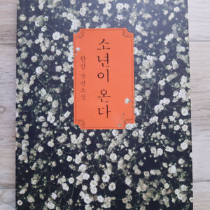 한강의 <소년이 온다>