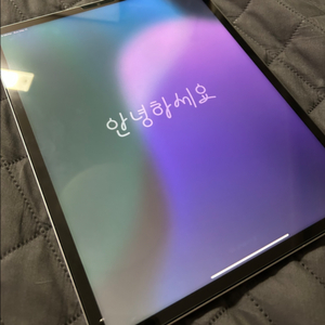 아이패드 프로 12.9 6세대 셀룰러 128GB