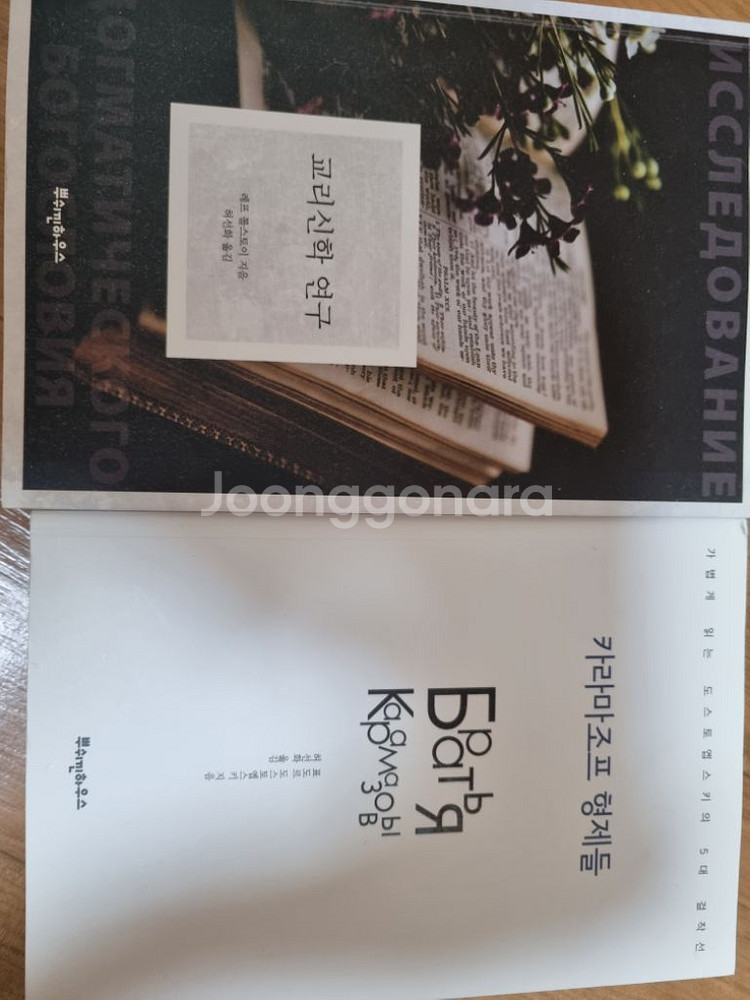 교리신학연구, 카라마조프형제들 책 판매--0