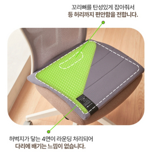 밸런스온 기능성 프리미엄 방석 L사이즈 새상품