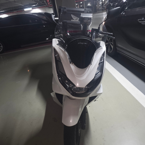 pcx 125 엑스라이더 판매 or 자토 대차합니다
