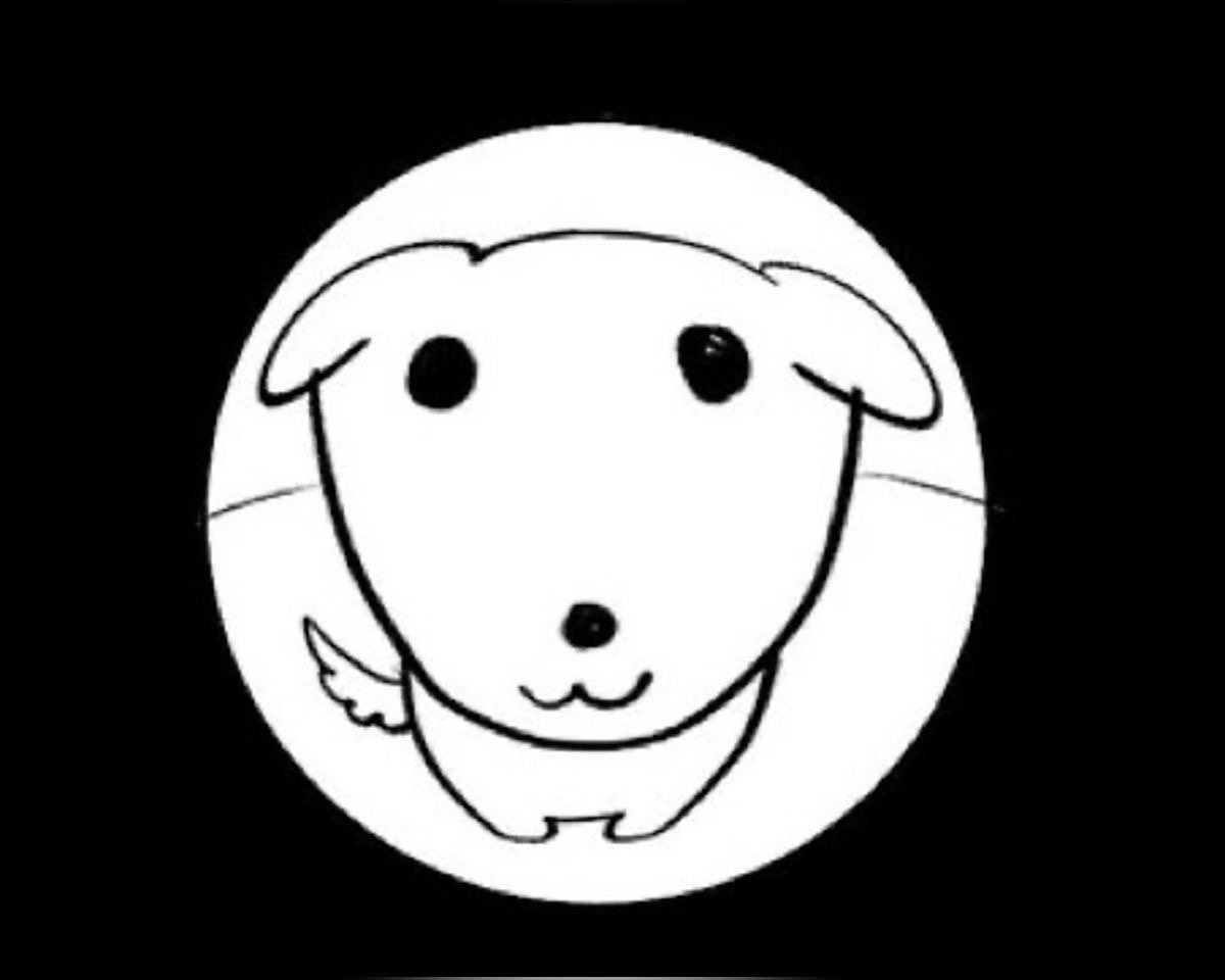 profile-image
