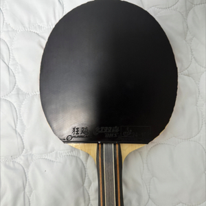 판젠동 cnf fl (w968과 교환 가능)