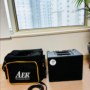AER Compact 60/2 앰프