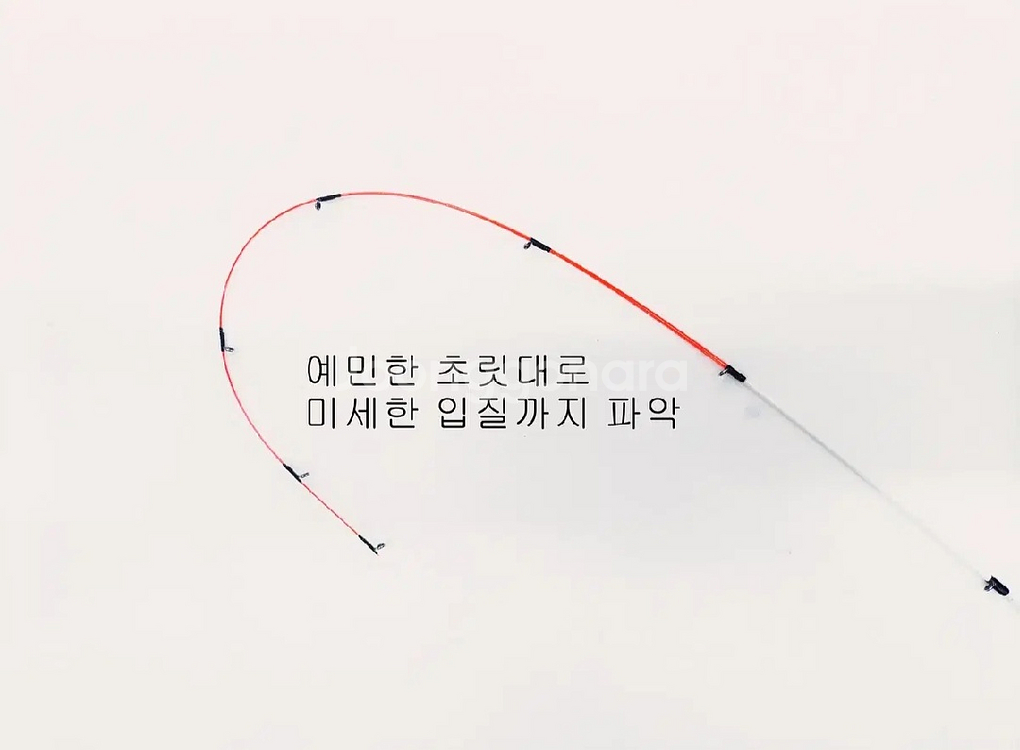 갈치.풀치.화살촉, 한치.볼락.호래기낚시대+시마노릴+줄--2