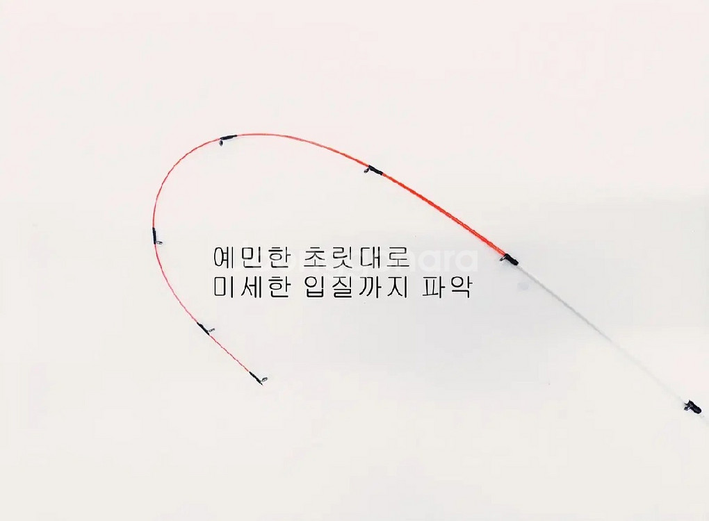 해우 1+1갈치.풀치.한치.화살촉,볼락.호래기UL2대--2