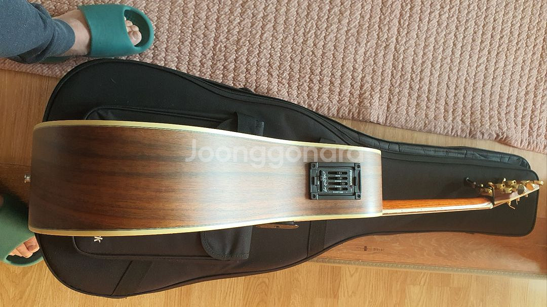 Walden d 610 ce 어쿠스틱--2
