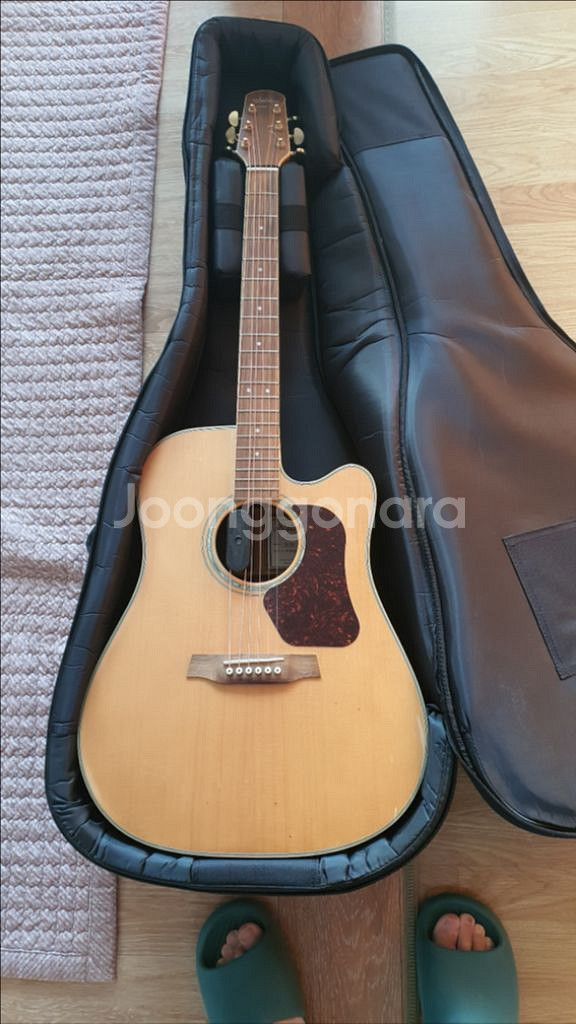 Walden d 610 ce 어쿠스틱--0