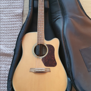 Walden d 610 ce 어쿠스틱
