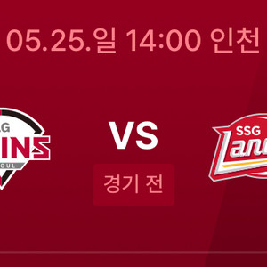 5/25 일요일 SSG 대 LG 원정응원석