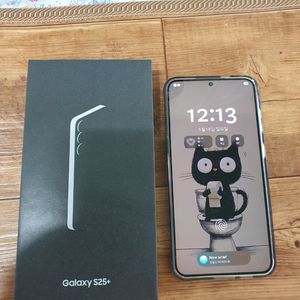 갤럭시 S25 플러스 실버 256GB 자급제