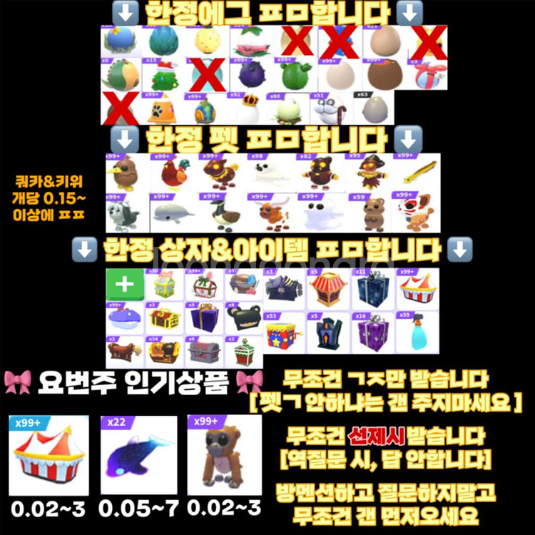 입양하세요 한정 아이템&펫--0