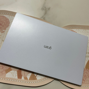 LG gram 노트북 울트라5