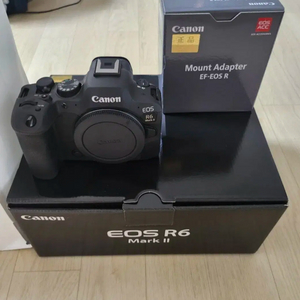 캐논 r6m2 r5mark2 바디
