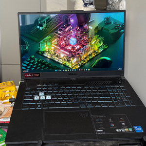 ASUS TUF F17 FX707ZM-HX037(업그레