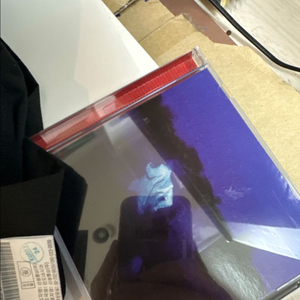 다니엘 시저 never enough cd