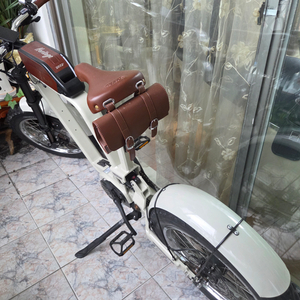 헤리티지 전기 팻바이크