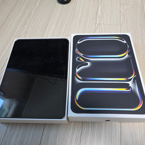 아이패드 프로 11인치 m4 1tb 셀룰러 + 애케플