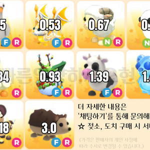 입양하세요 250518 펫 판매