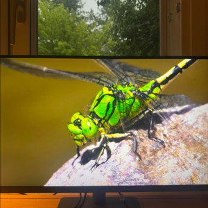 benq PD3205U 무결점