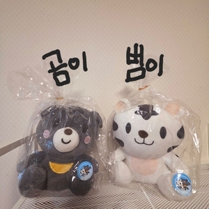 강릉 마스코트 반달곰 곰이와 호랑이 범이 인형입니다