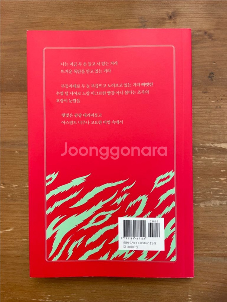 햇빛 속에 호랑이 - 최정례--1