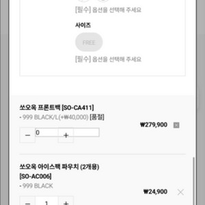 쏘오옥프론트백