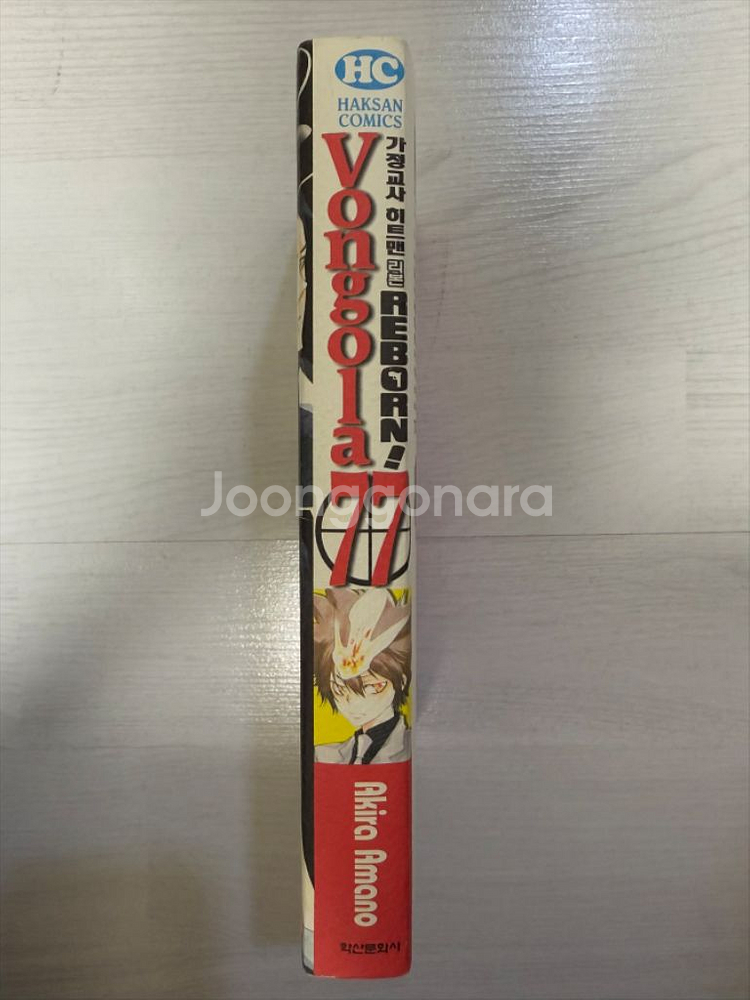 가정교사히트맨리본(가히리) 봉고레77 vongola77--1