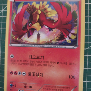 포켓몬카드 칠색조 XY 프로모