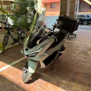 2025년식 혼다 pcx125 판매