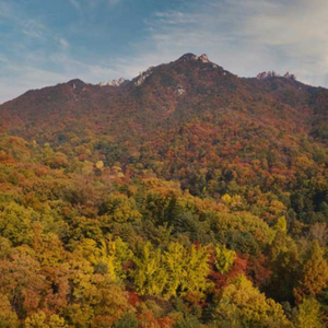 파라스파라 리조트 회원권