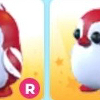 페팽 일괄 판매 입양하세요